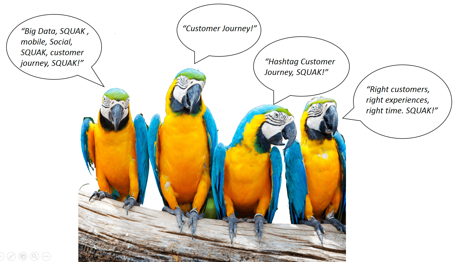 Marketing Buzzword Parrots